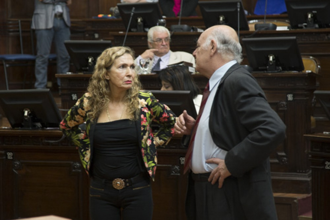 imagen Sólo el 30 % son mujeres en las legislaturas provinciales