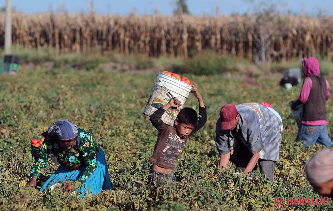 imagen En el mundo hay más de 45 millones de esclavos