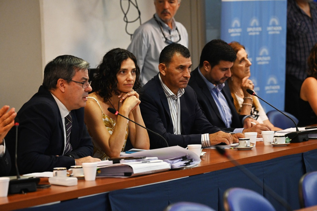 imagen Mientras la Corte Suprema se reunió por primera vez, Diputados avanzó con el juicio político