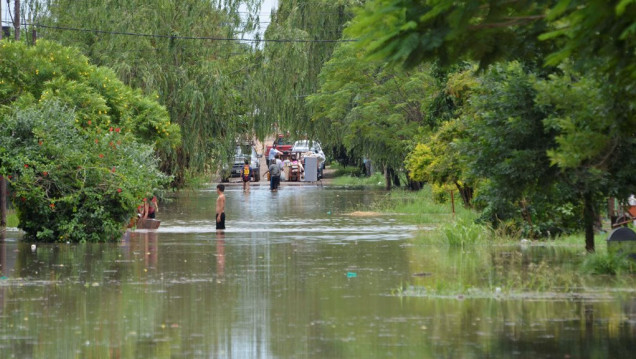 imagen Las inundaciones en Santa Fe impactan en el sector productivo