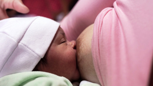 imagen El 60 % de los bebés no recibe leche materna después de los 6 meses