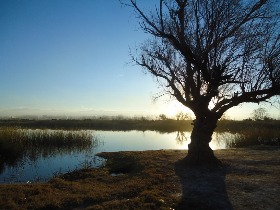 imagen Consulta pública para que la Laguna de Soria de Lavalle sea Área Natural Protegida