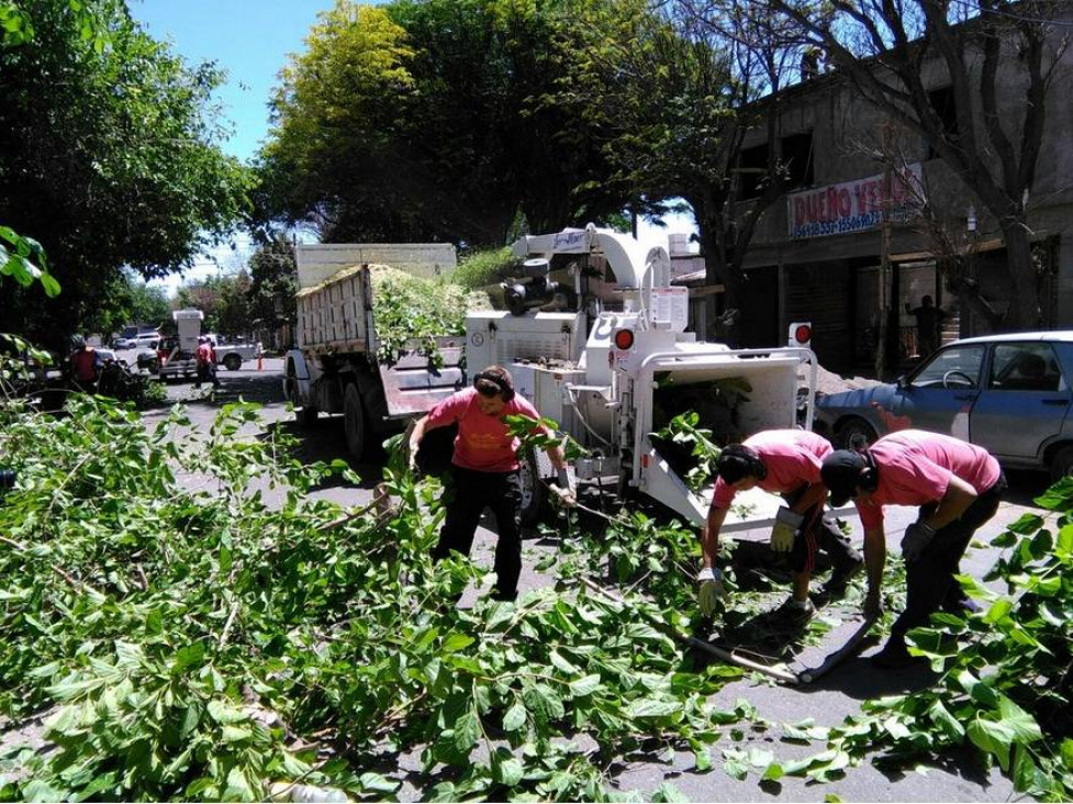 imagen Despidieron a 70 empleados que recolectaban residuos en Las Heras