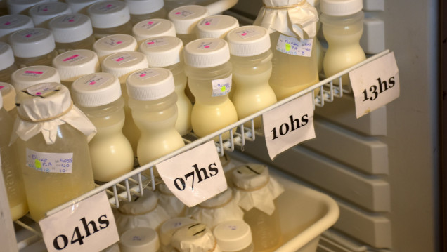 imagen El Banco de Leche Humana de Mendoza triplicó sus donantes: cómo sumarse 