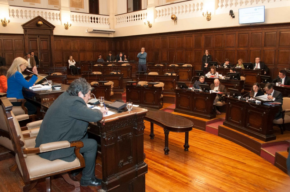 imagen Código de faltas: Jaliff dijo que se pospuso el tratamiento para "no provocar" durante el paro