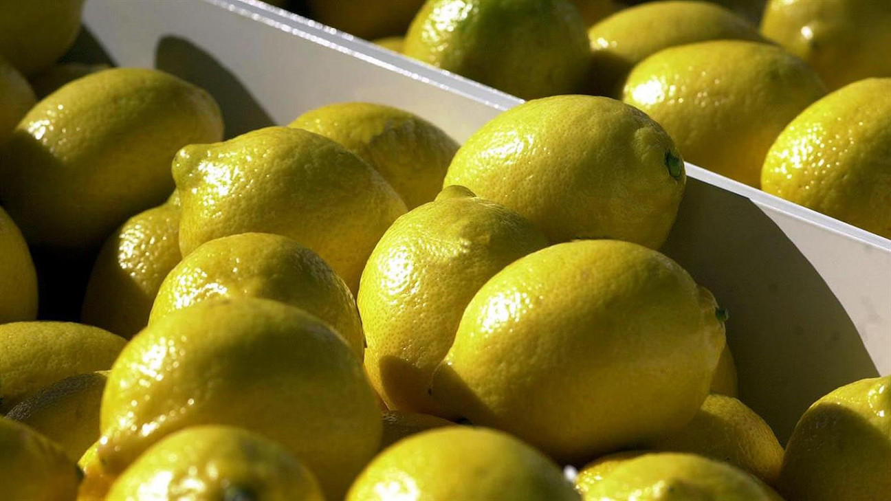 imagen Estados Unidos autorizó de manera definitiva el acceso de limones argentinos