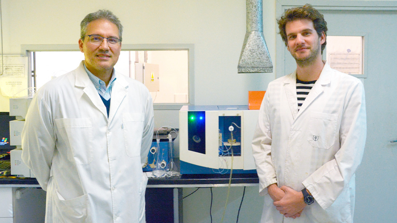 imagen Especialistas del Conicet desarrollaron un sensor que permite mejorar la calidad del vino