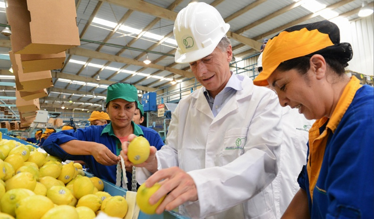 imagen Argentina vuelve a exportar limones después de 17 años 
