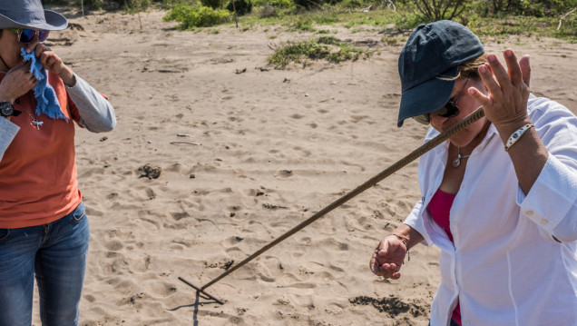imagen Excavarás la tierra buscando a tus hijos desaparecidos