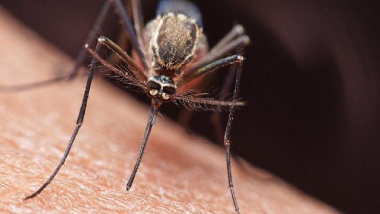 imagen La pandemia tuvo un impacto "devastador" en la lucha contra el sida, la tuberculosis y la malaria