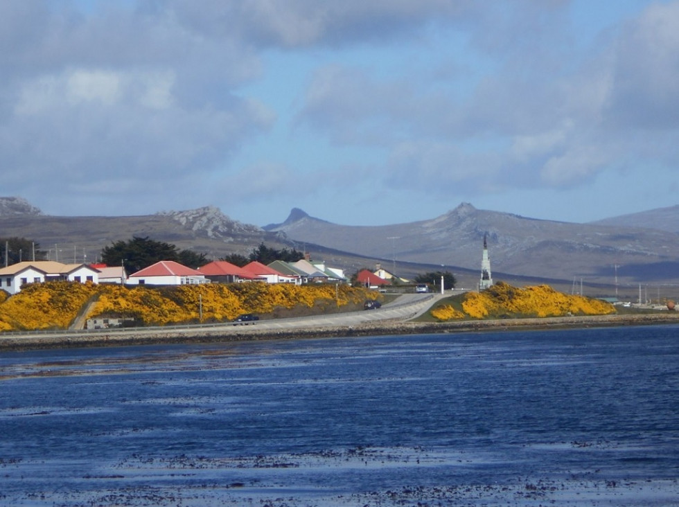 imagen Estudios del Conicet sobre especies marinas reafirman la soberanía argentina sobre Malvinas