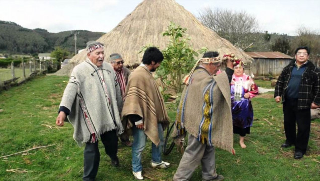 imagen "Las empresas se benefician de la estigmatización mapuche"