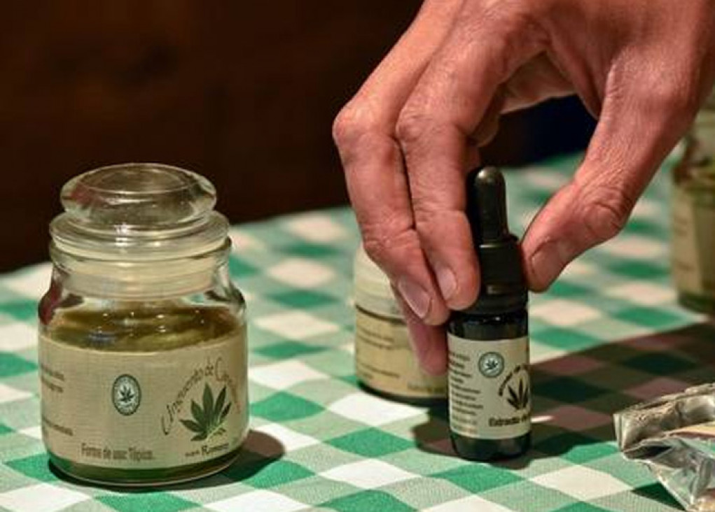 imagen Denuncian freno en la aplicación de la ley de cannabis medicinal