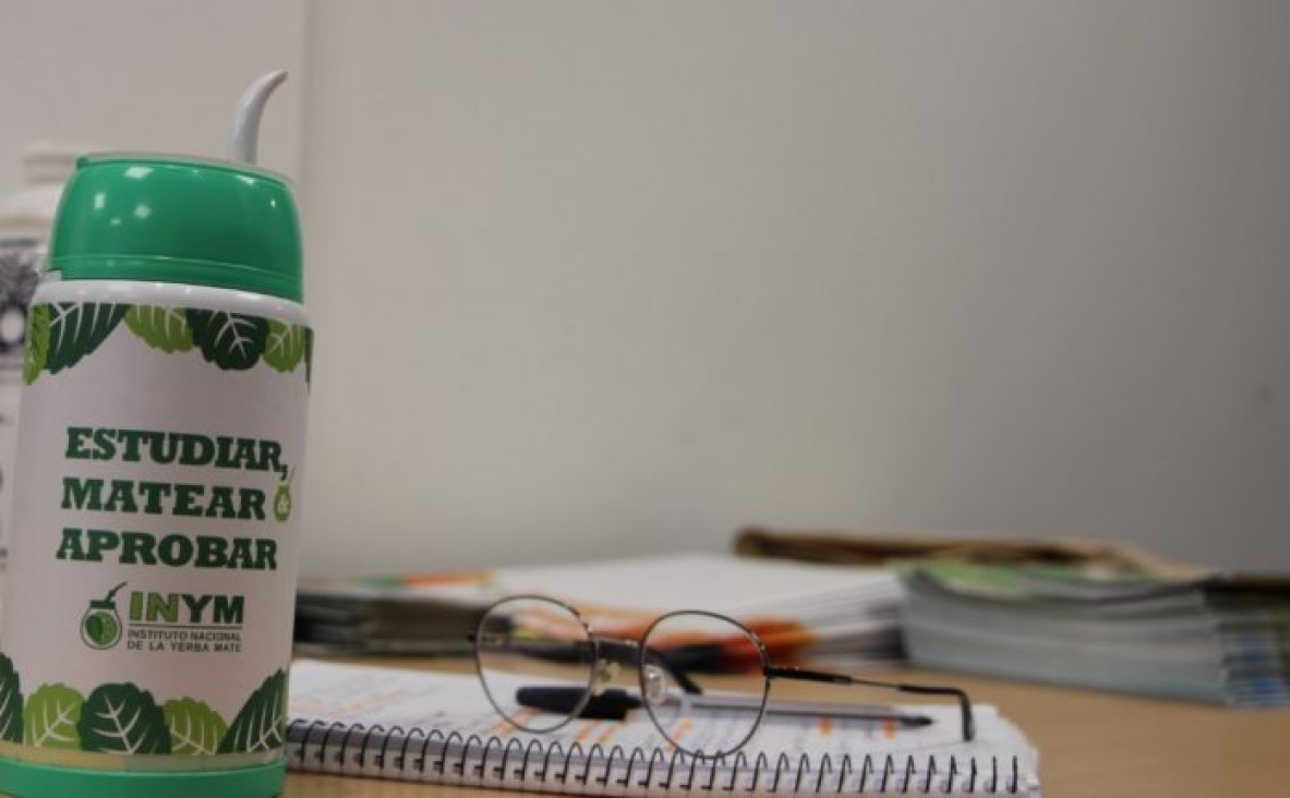imagen Proponen extender el programa "El Mate en la Escuela" a todo el país