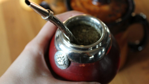 imagen Por qué el mate es una de las mejores infusiones para la salud