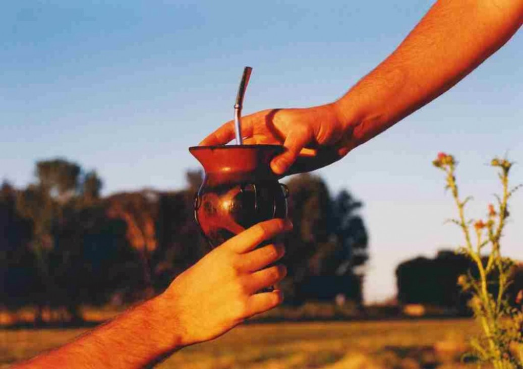 imagen Día del Mate: los secretos de la infusión que ya es boom mundial