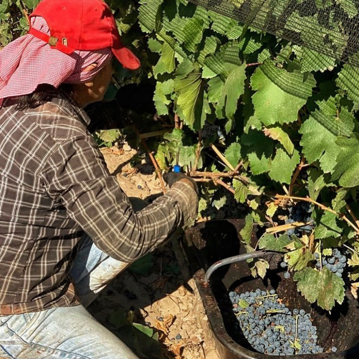 imagen Los intendentes del Gran Mendoza adhirieron al programa Mendoza Activa 
