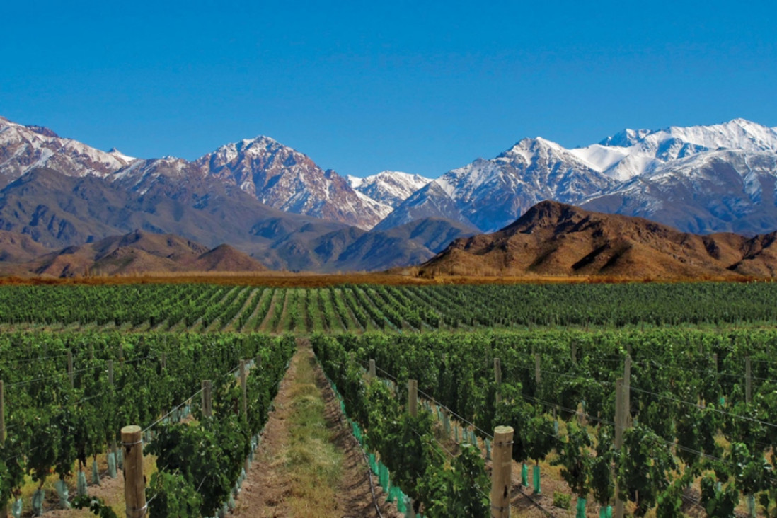 imagen Mendoza, entre los destinos más elegidos para este invierno