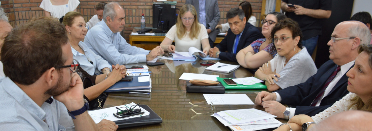 imagen Buscan eliminar la ley que prohíbe la venta de misoprostol en Mendoza
