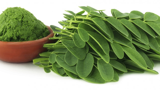imagen Los beneficios de la moringa, la aliada de los veganos