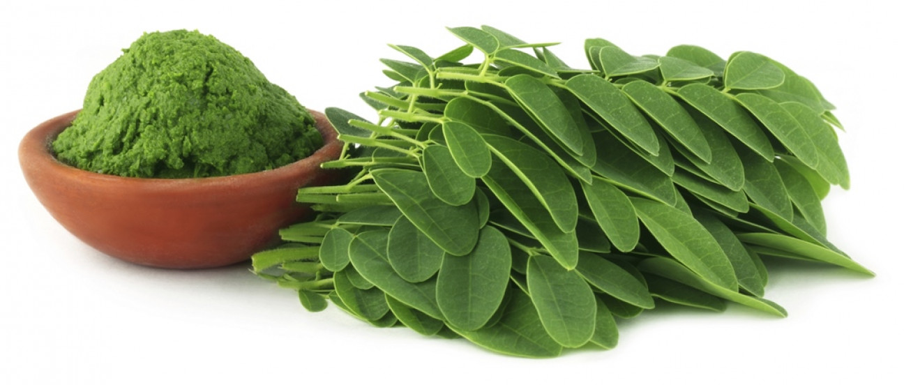 imagen Los beneficios de la moringa, la aliada de los veganos