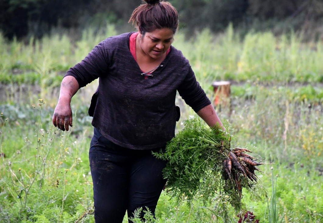 imagen La brecha de género se intensifica en el mundo rural entre varones, mujeres y LGBTIQ+