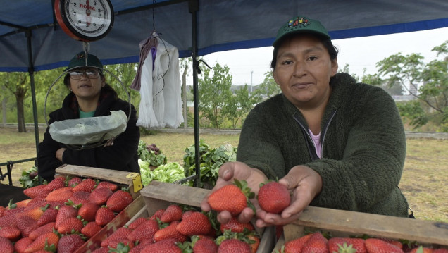 imagen Mujeres rurales pidieron acceso a la tierra y ser reconocidas como productoras