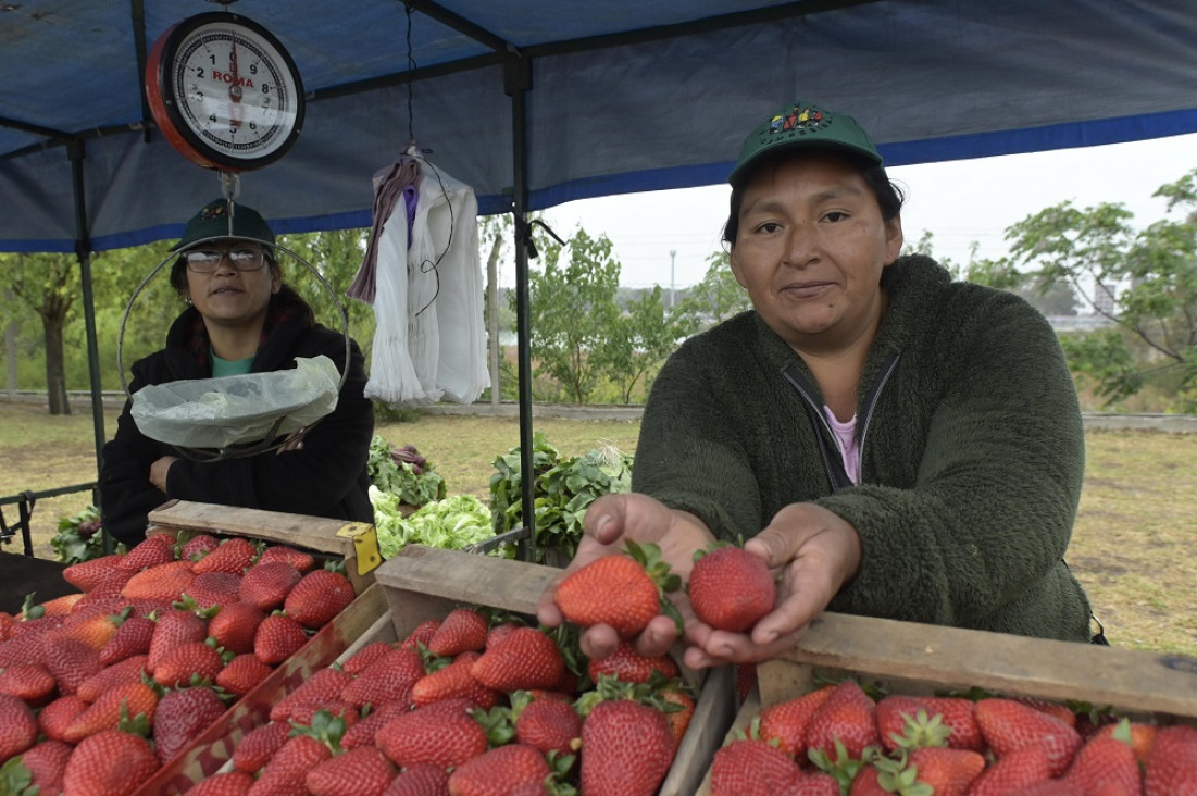 imagen Mujeres rurales pidieron acceso a la tierra y ser reconocidas como productoras