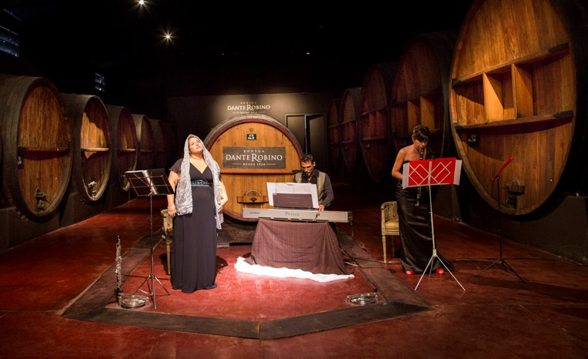 imagen Abren la convocatoria para participar de Música Clásica por los Caminos del Vino