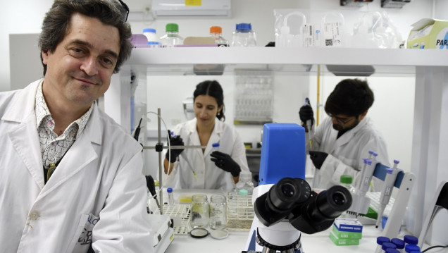imagen Nanociencias: una revolución en miniatura que "cambia la forma de ver el mundo"