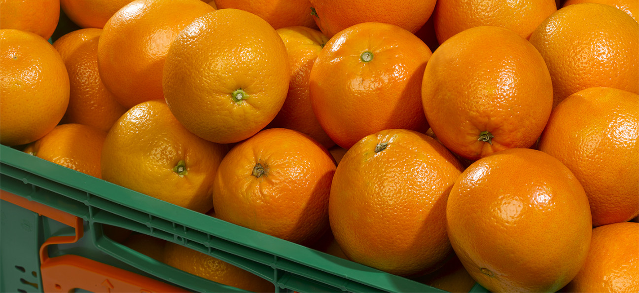 imagen Sí pasa naranja: por primera vez en ocho años, se exportaron esos cítricos a Brasil