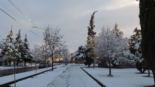 imagen La nieve podría llegar al llano en Mendoza