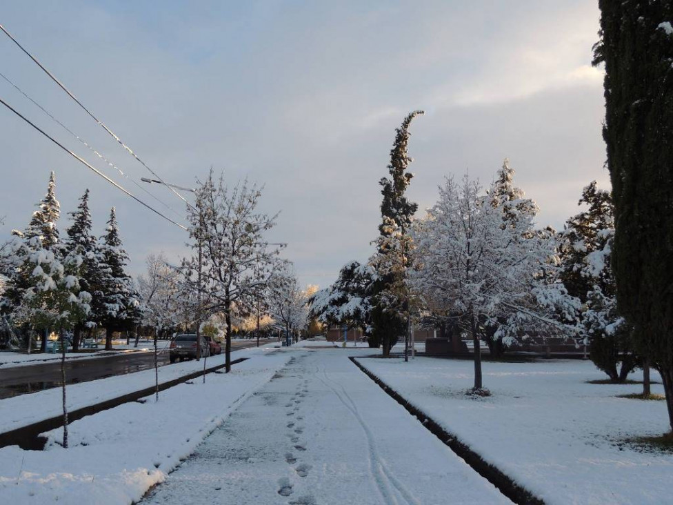imagen La nieve podría llegar al llano en Mendoza
