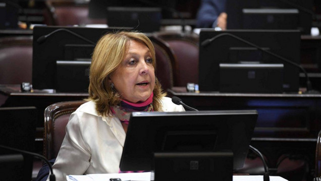 imagen Se constituyó la Bicameral que designará al Defensor del Niño