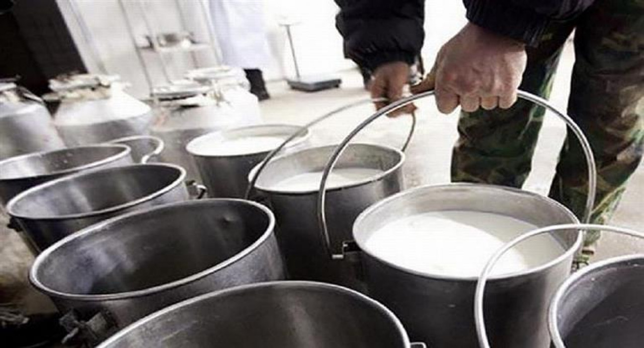 imagen Tamberos regalarán leche en Plaza de Mayo