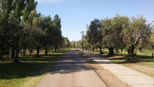 imagen Las "cirugías" en el rostro de la Mendoza Siglo 21
