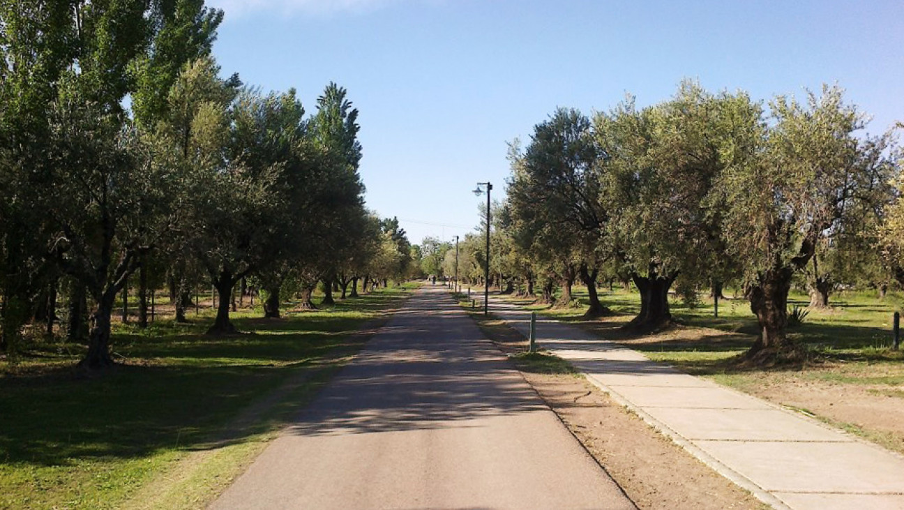 imagen Las "cirugías" en el rostro de la Mendoza Siglo 21