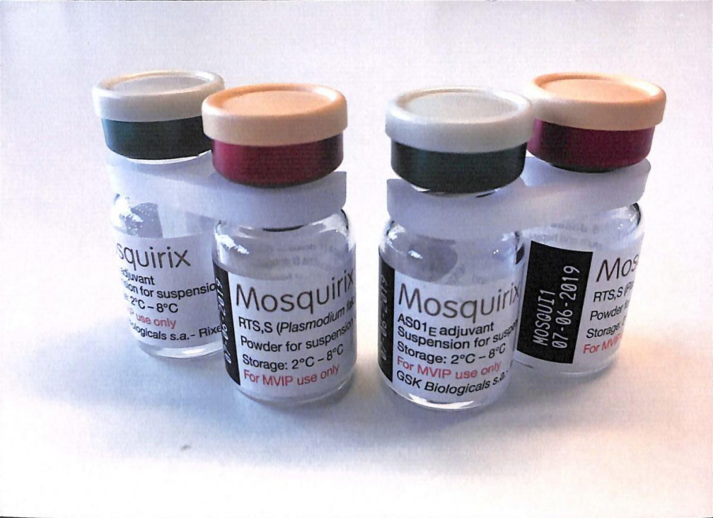 imagen Por primera vez en la historia, la OMS recomendó una vacuna contra la malaria