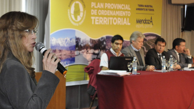 imagen Flores y espinas en el camino del Plan de Ordenamiento Territorial