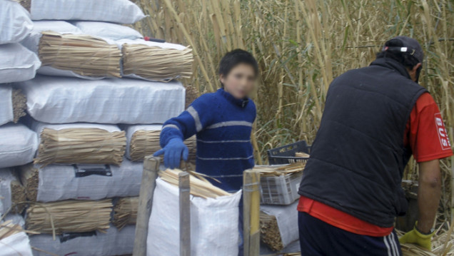 imagen La situación del trabajo infantil en Mendoza