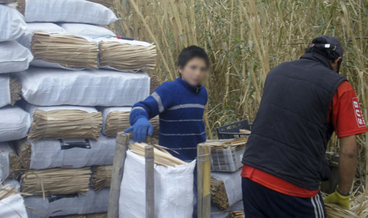 imagen La situación del trabajo infantil en Mendoza