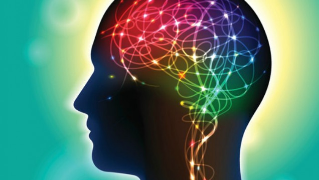 imagen Descubren una "molécula clave" que protege al cerebro de la depresión