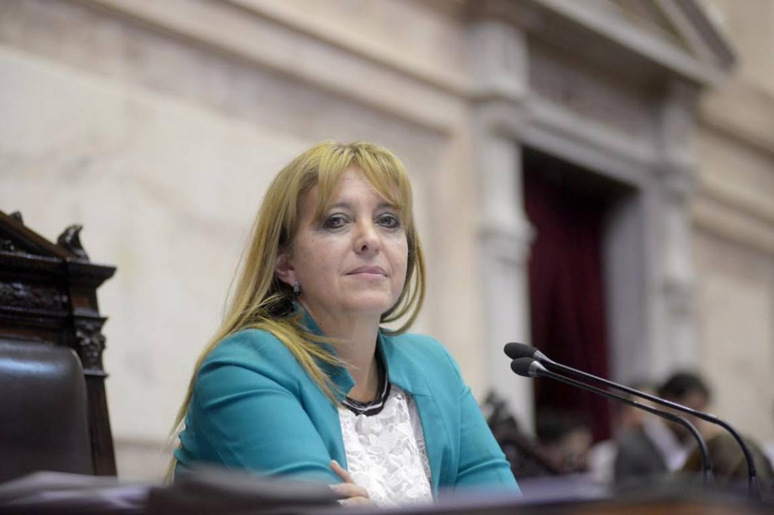 imagen El proyecto de "Cédula Escolar Nacional" avanza en el Congreso
