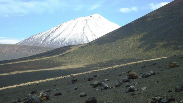 imagen La Reserva Natural Payunia recupera el uso de 15 mil hectáreas