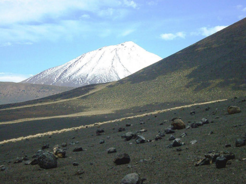 imagen La Reserva Natural Payunia recupera el uso de 15 mil hectáreas