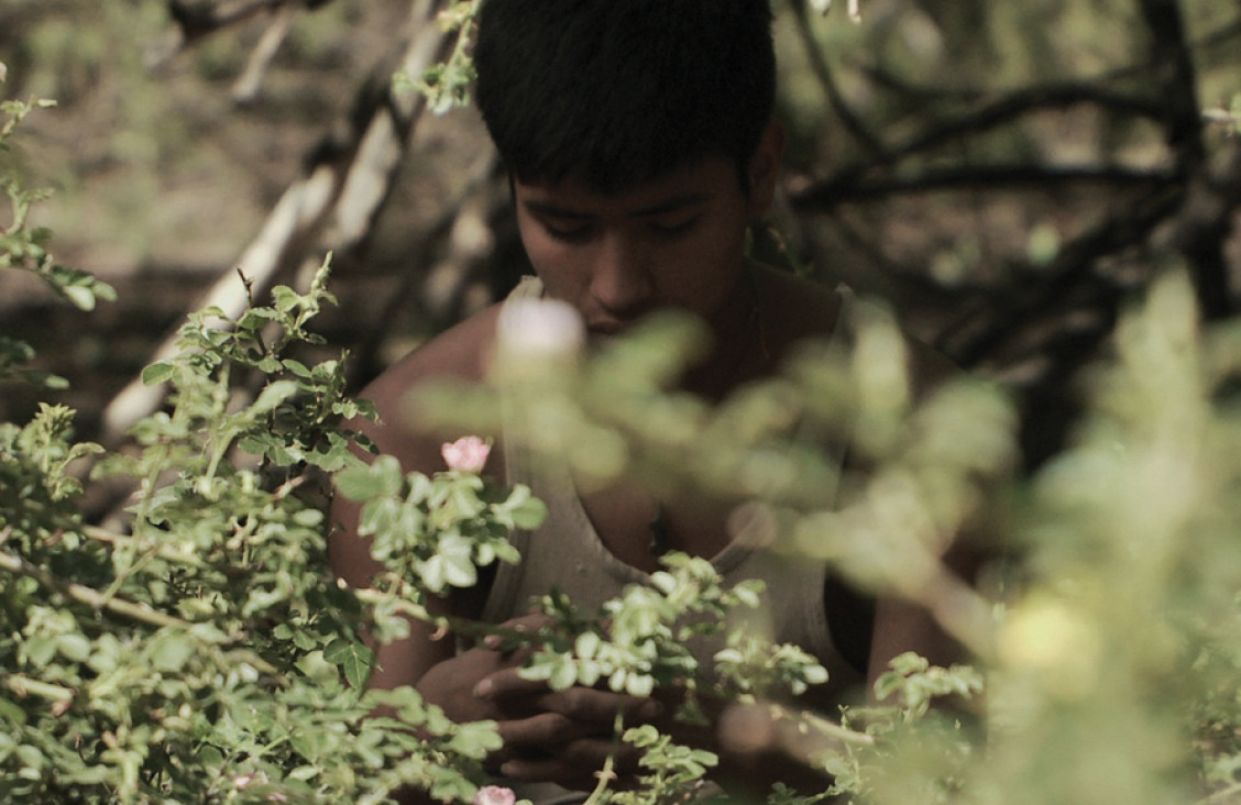 imagen Bafici: Tierra de Dios
