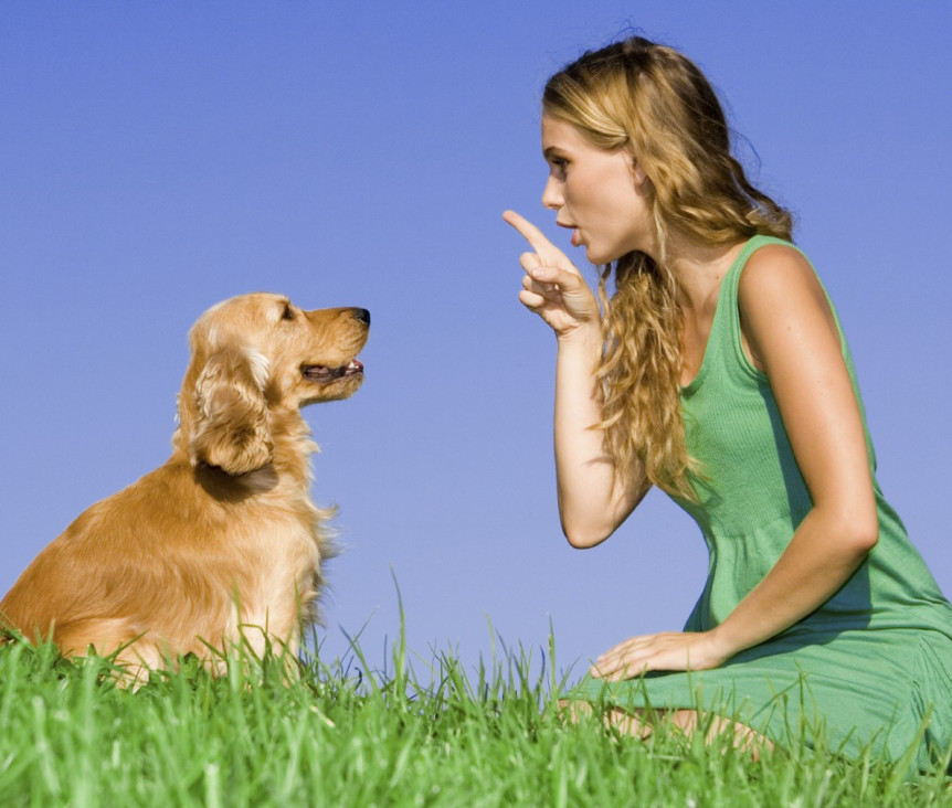 imagen La ciencia descubrió por qué le hablamos a perros y gatos como si fueran bebés