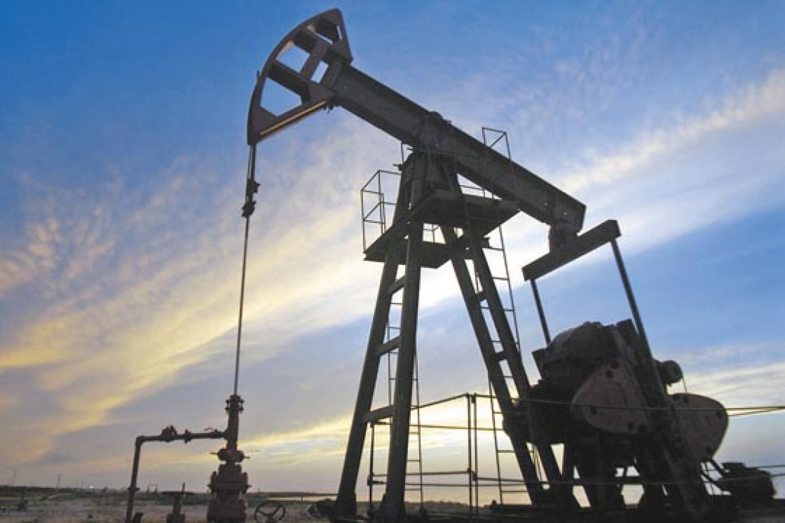 imagen El país y la provincia discuten el futuro de Repsol YPF