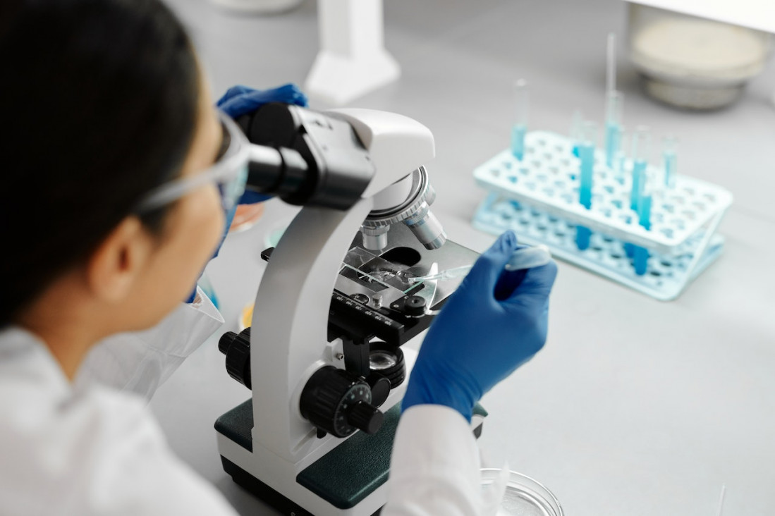 imagen Investigación para el cáncer: hay más de 3 mil nuevos tratamientos potenciales 