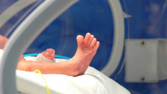 imagen Derechos del prematuro